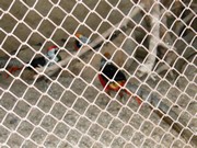 Výlet do Ekocentra MB - Spižírna